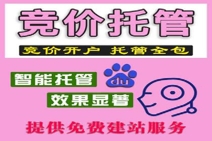 深度解析：百度竞价账户托管的成功秘诀